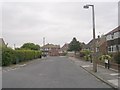 Springbank Road - viewed from Springbank Avenue