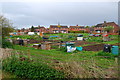 Allotments in Fordingbridge