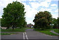 Trees, Smithbarn from Hamper