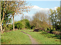 Trackbed of Leamington-Weedon disused railway (2)