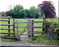 Footpath to Marton church