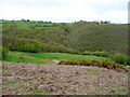 View near Cefn-y-cloddau