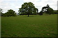 Grazing land near Llanellen