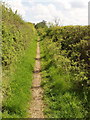 Path with confusing access right, near Waterperry