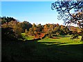 Autumn Colour at North Glen