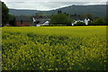 Maerdy Farm