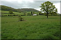 Grazing land near Bettws Newydd