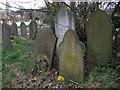 The grave of an anarchist in Ladywell cemetery