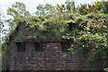 Remnants of a canal bridge