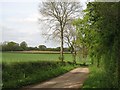 SO5465 : Lane, Upton by Richard Webb