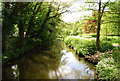 River Arun, Horsham