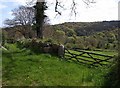 Bridleway near Leign