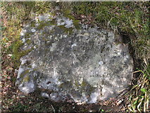 NH6790 : Fairy Glen walk inscribed stone by Euan Stevenson