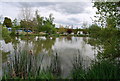 TQ1226 : Sumners Pond by N Chadwick