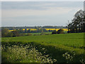 View towards Hawstead Church