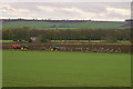 Ploughing at Gallowfauld