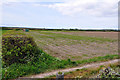 Strawberry Fields - Llantwit Major