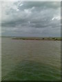 Seals basking at the entrance to Shelford Creek