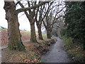 Salt Hill Stream in Montem Recreation Ground in Slough