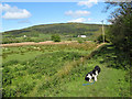 Fields inside the flood-bank