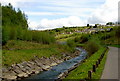 Taff Bargoed river Looking North