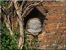 TQ4454 : Bee Bole on Cottage behind Quebec House by Oast House Archive