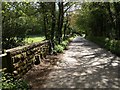 Bridge over Torr Brook