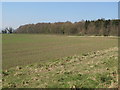 Farmland and woodland southeast of Sandoe