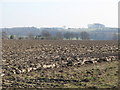 Farmland near Hampstead