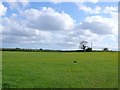ST7023 : Countryside near Horsington by Nigel Mykura