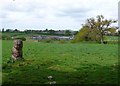 Countryside near Whitings farm