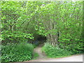 Footpath to Oakenpole Wood