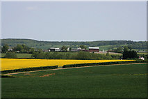 ST2222 : Farmland at Cotlake by Nick Chipchase