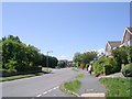 Woodlands Avenue - viewed from Broom Road