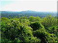 View from the top of Churchdown Hill