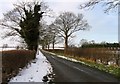 Mill Lane towards Hoby