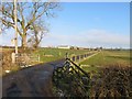 Driveway of Sandlands Farm