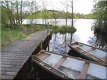 H2904 : Jetty on Creenagh Lough by Oliver Dixon