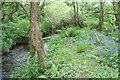 Stream below Crean Mill