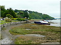 Torridge estuary at low tide