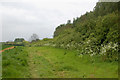 Field beside canal, Long Itchington