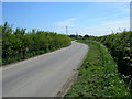 TA0355 : Minor Road Towards Skerne by JThomas