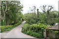 Rookery at Alsia Mill