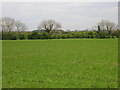 Farmland near Sleights Farm