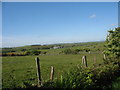 View across grazing land towards Hafod Onnen