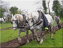 N3091 : County Cavan Ploughing Championships 2009, Gowna by Oliver Dixon