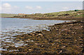 Foreshore at St Margaret