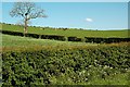 Farmland View At Raith