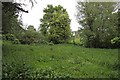 St Mary the Virgin, Great Dunmow, Essex - Churchyard