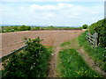 Field west of Stoford Lane